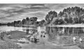 La Loire - Orléans